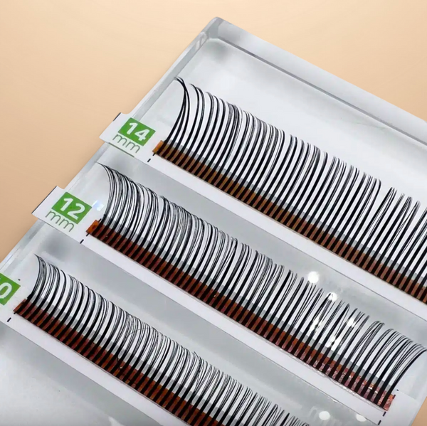 Cils FITNESS 🌟PREMIUM🌟-D-0.07-16L-IMPAIR