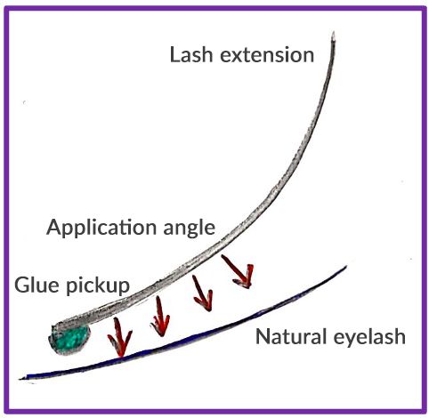 Comment utiliser la colle Kalinka d'extensions de cils
