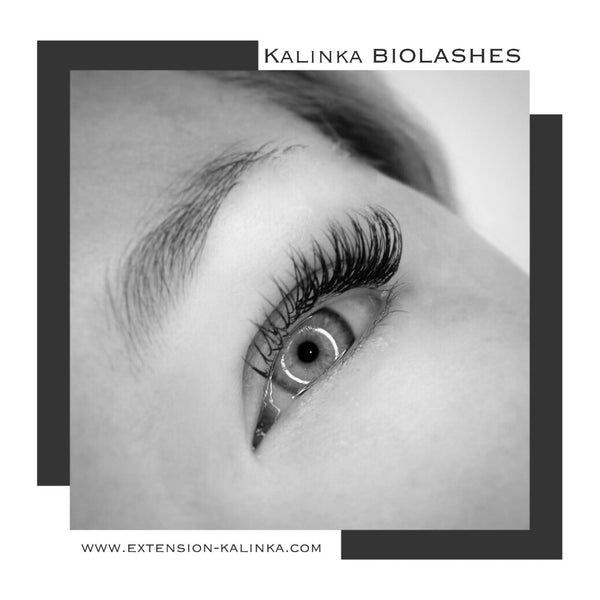 Cils BIOLASHES 🌟PREMIUM🌟 -C-0.25-16L-PAIR
