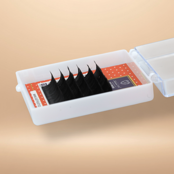XXL - Cils HOLLYWOOD - D-0.05-6L