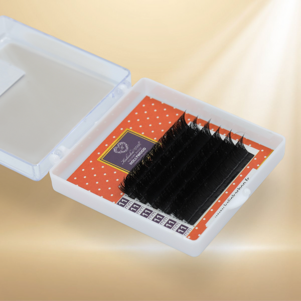 XXL - Cils HOLLYWOOD - D-0.05-6L