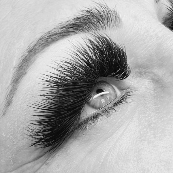 Cils 6X-STEP LASHES🌟PREMIUM🌟- D-0.15-16L-PAIR